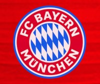 FC Bayern München Lampion 20 cm