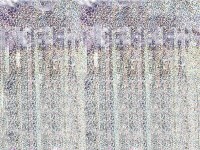 Holografischer Lametta Türvorhang 2,5m x 90cm
