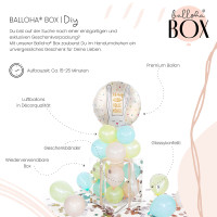 Vorschau: Balloha Geschenkbox DIY Ich mag Dich volle Möhre XL