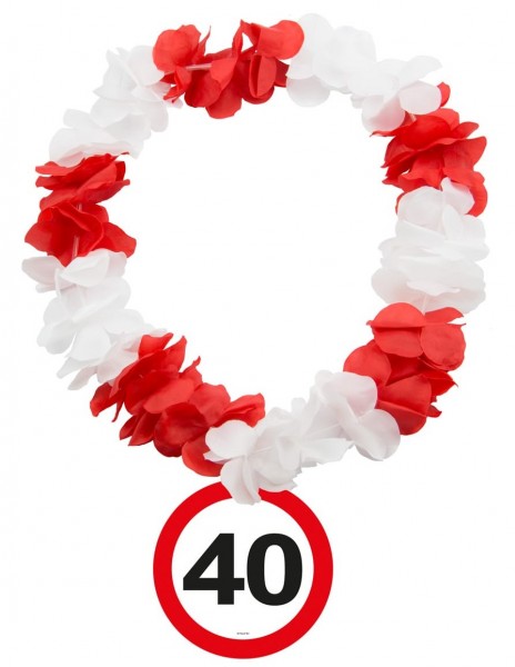 Verkehrsschild 40 Hawaiikette