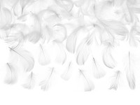 3g Deko Federn weiß 5-8cm