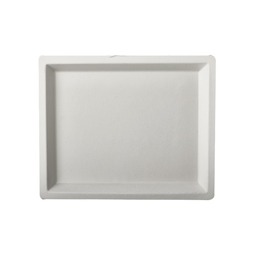 50 Zuckerrohr Teller Aida eckig 14 x 17cm