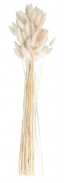 20 Country Wedding Samtgräser creme 65cm