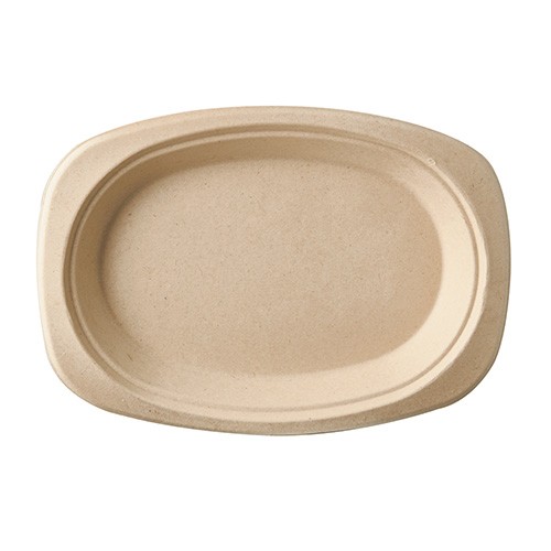 50 Ovale Zuckerrohr Teller natur 23 x 16cm