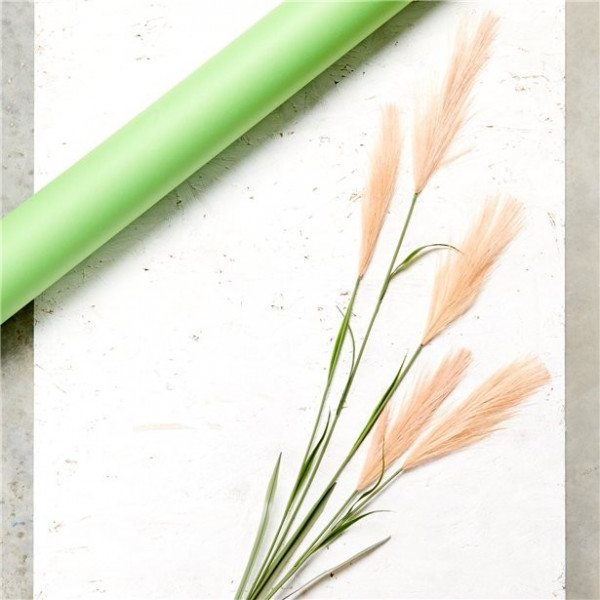 Pampus brome blomdekoration 1,45m