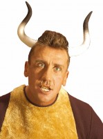 Geschwungene Stierhörner