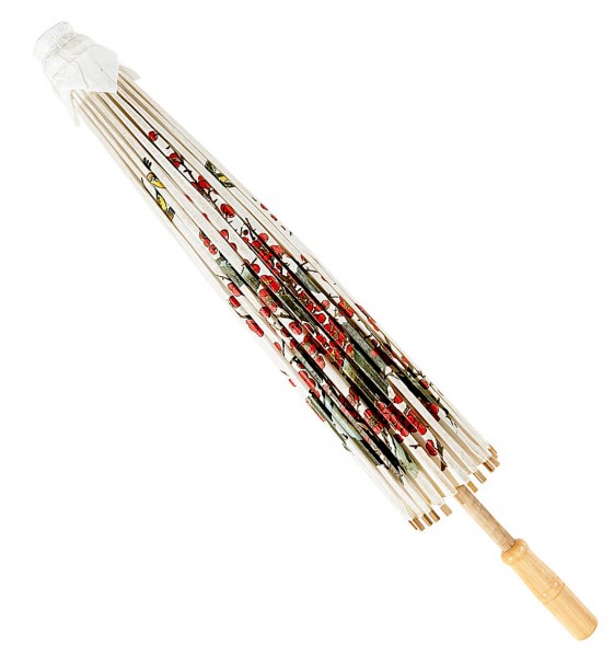 Chinesischer Kirschblüten Schirm 4