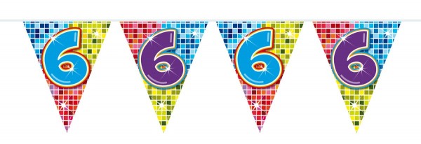 Groovy 6th Birthday Wimpelkette 3m
