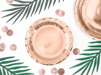 6 Roségold metallic Pappteller 18cm