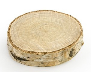 20 Tischkarten aus Baumscheiben