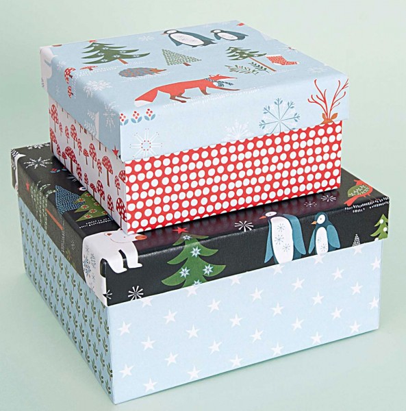 Geschenkbox zum Selbergestalten 20x15x6cm 3