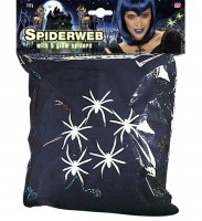 Grauen Aus Dem Untergrund Spinnennetz Schwarz Inklusive Spinnen