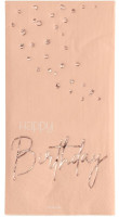 10 Rosy Blush Birthday Servietten 33cm