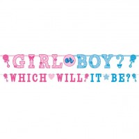 2 Babyparty Girlanden Boy oder Girl