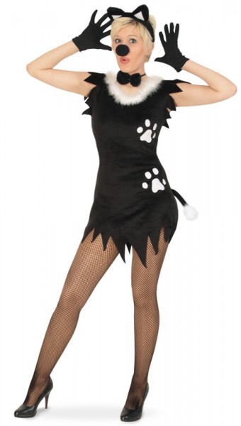 Sexy Mieze Katze Damenkostüm