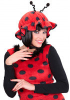 Vorschau: Ladybug Marienkäfer Fingernägel