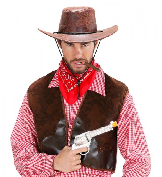 Cowboyhut Johnny Braun 2