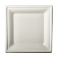 100 Zuckerrohr Teller Aida weiß 20 x 20cm