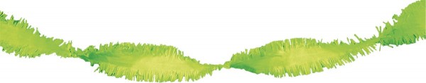 24m roterande girlandlime 2