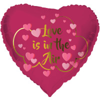 Love is in the air Herzballon 45cm