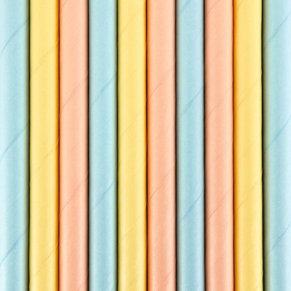 10 Summers Tale Papier Strohhalme 19,5 cm