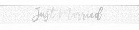 Just Married Folienbanner silber 174cm