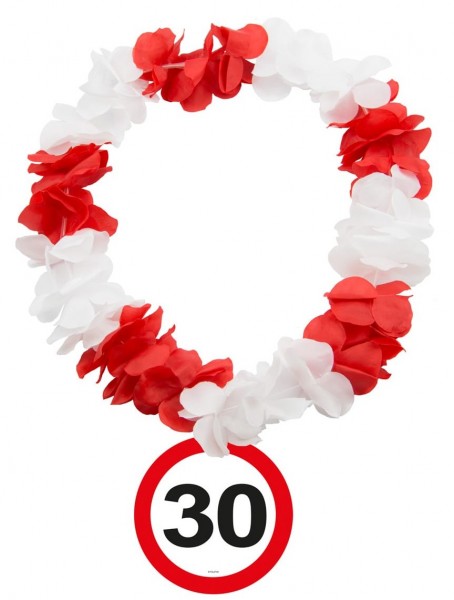 Verkehrsschild 30 Hawaiikette