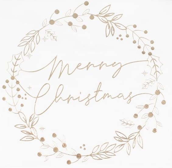 16 Christmas Eve Servietten 34cm