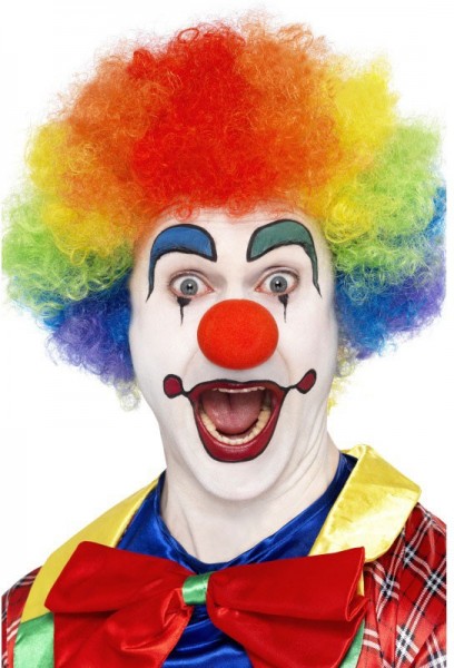 Kunterbunte Clownsperücke Rainbow