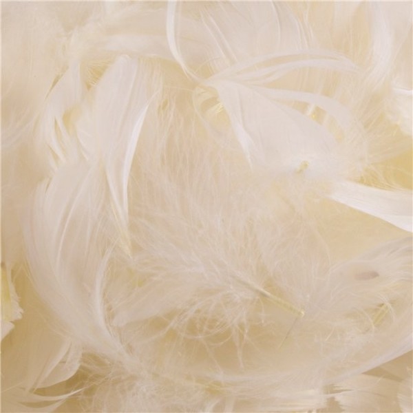 Deko Federn creme 50g